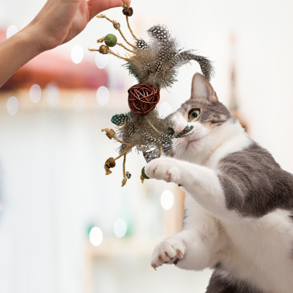 BONITAPET игрушка для кошек Шар с крыльями, 4,7 см