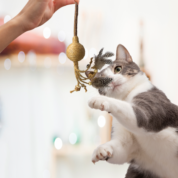 BONITAPET игрушка для кошек Леденец, 4,7x16 см