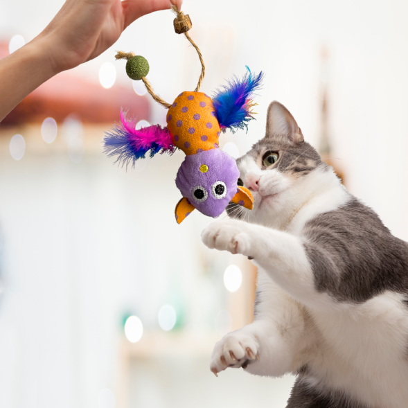 BONITAPET игрушка для кошек Сова с перьями, 10 см