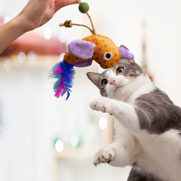 BONITAPET игрушка для кошек Птичка с перьями, 11 см