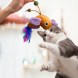BONITAPET игрушка для кошек Птичка с перьями, 11 см