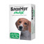 БлохНэт Max инсектоакарицидный препарат для собак и щенков массой от 10 до 20 кг - 1 пипетка х 2 мл