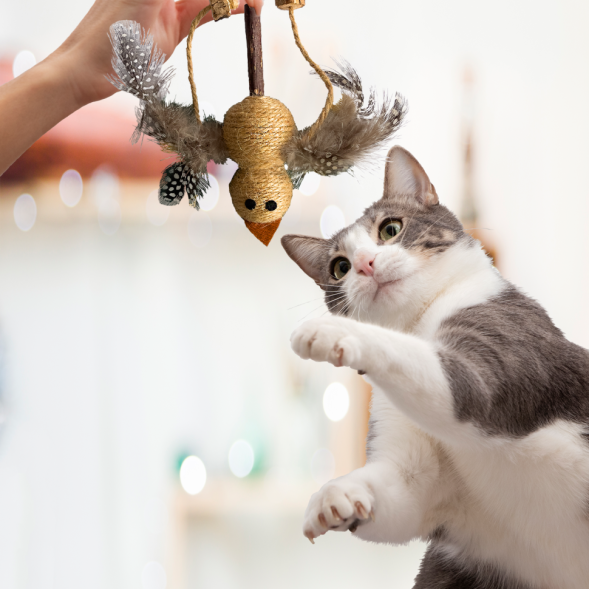 BONITAPET игрушка для кошек Птичка на палке, 18 см