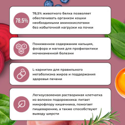 BOWL WOW сухой корм для стерилизованных кошек, с индейкой и свеклой - 4 кг