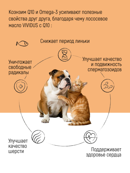 Vividus кормовая добавка для животных масло дикого лосося с коэнзимом Q10 - 250 мл