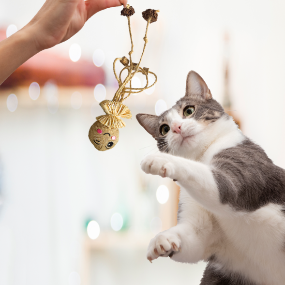 BONITAPET игрушка для кошек Осминожка