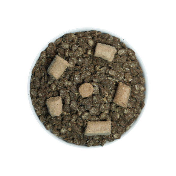 PETMI Adult Dog Duck &amp; Cheese сухой корм для взрослых соба, с уткой и сыром - 1 кг