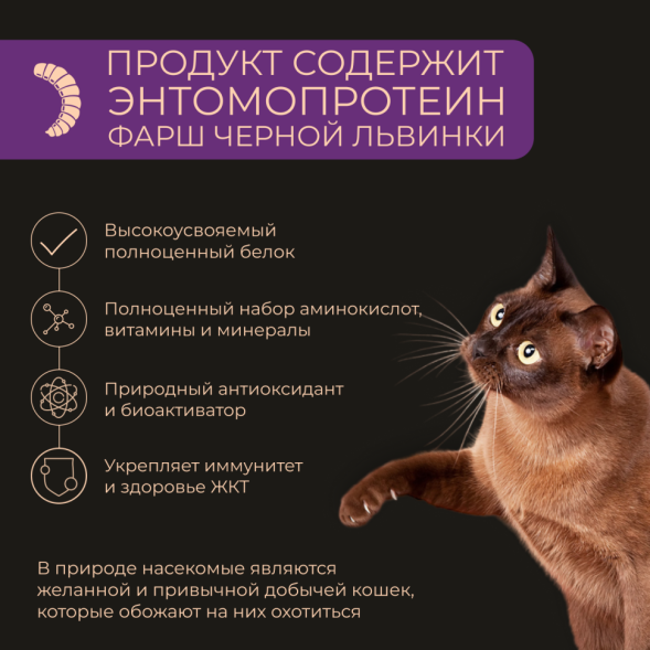 Yumster влажный корм для взрослых кошек с чувствительным пищеварением, паштет с индейкой и печенью, в ламистерах - 100 г