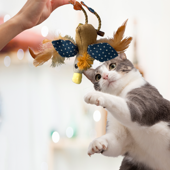 BONITAPET игрушка для кошек Утка-летяга