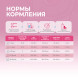 FINT сухая молочная смесь для котят - 300 г