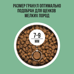 BOWL WOW сухой корм для щенков мелких пород с индейкой, рисом и шпинатом - 2 кг