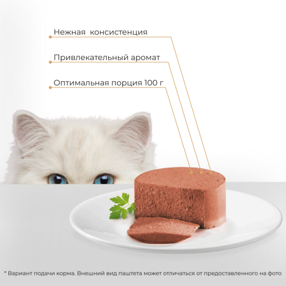 Yumster Beauty Coat влажный корм для взрослых кошек, для здоровья кожи и шерсти паштет с уткой и перепелом, в ламистерах - 100 г