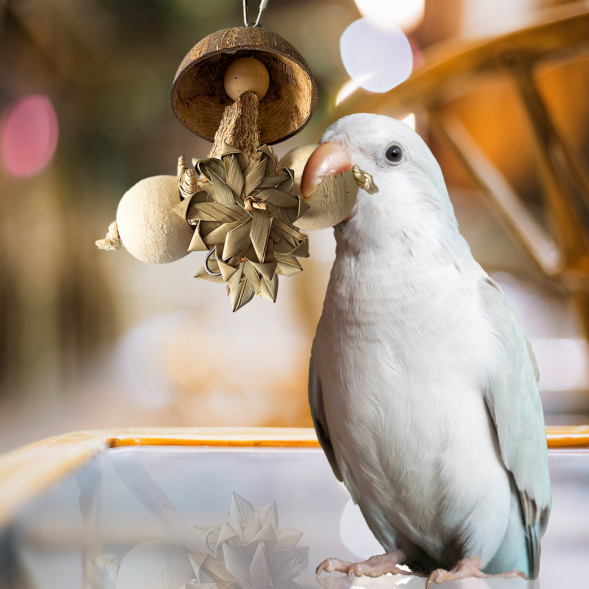 BONITAPET игрушка для птиц Гриб, 15х11 см