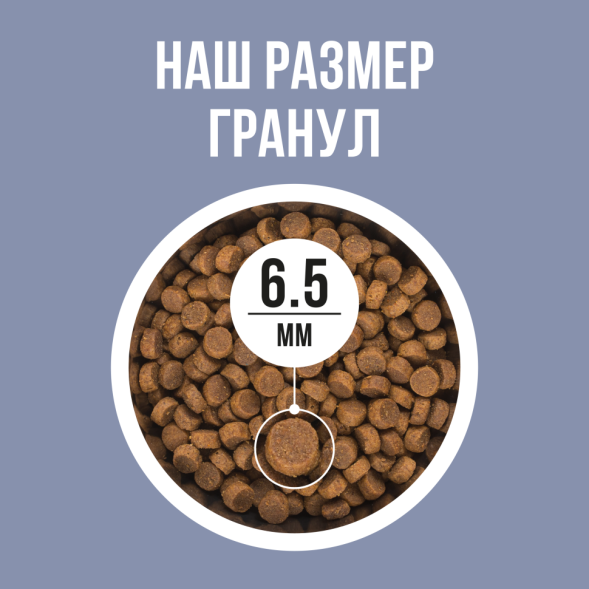 BOWL WOW сухой полнорационный корм для котят с курицей и черникой - 8 кг