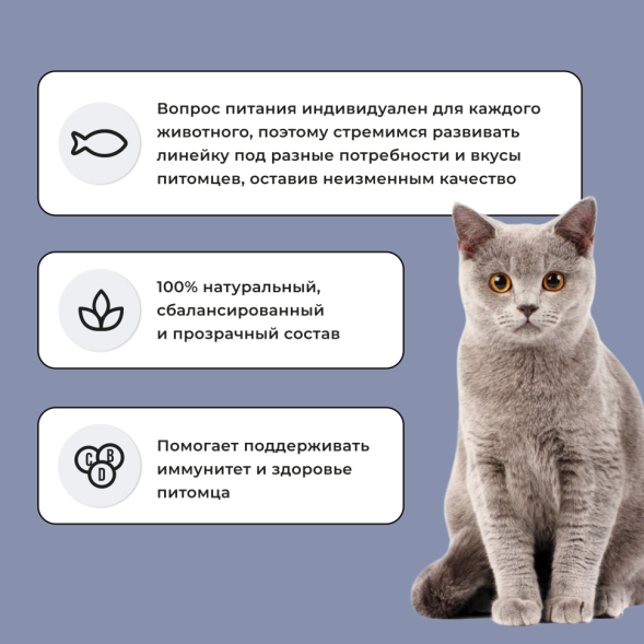 BOWL WOW сухой полнорационный корм для котят с курицей и черникой - 8 кг