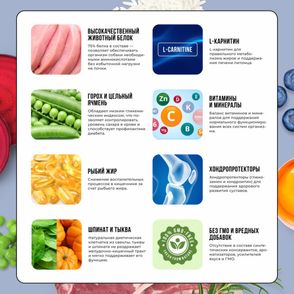 BOWL WOW сухой полнорационный корм для щенков крупных пород с индейкой, ягненком, рисом и добавлением черники - 5 кг