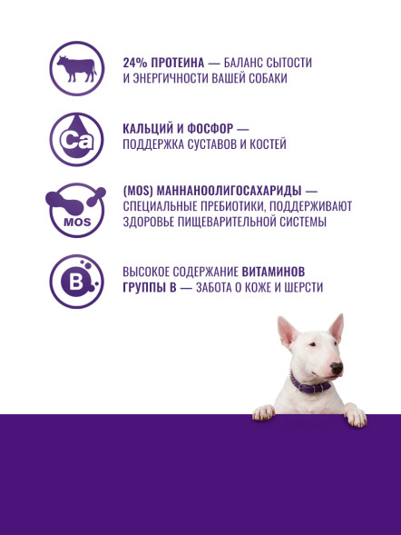 KLATZ! сухой полнорационный корм для взрослых собак крупных пород с говядиной - 10 кг