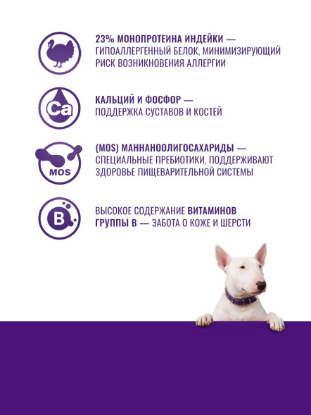 KLATZ! сухой полнорационный корм для взрослых собак крупных пород с индейкой - 10 кг