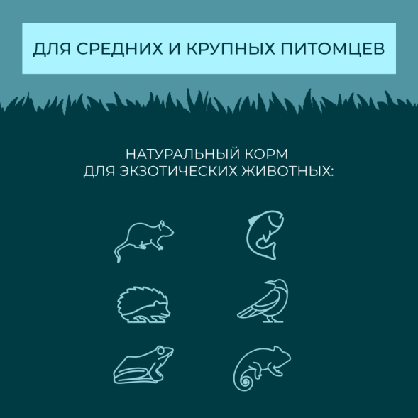 Yumster личинка черной львинки сушеная 20 мм - 70 г
