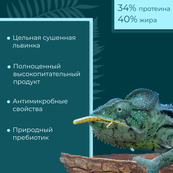 Yumster личинка черной львинки сушеная 20 мм - 70 г