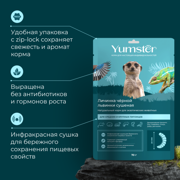 Yumster личинка черной львинки сушеная 20 мм - 70 г