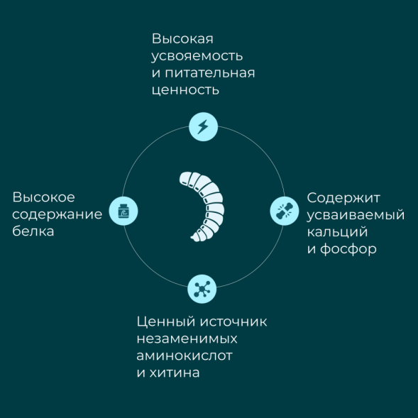 Yumster личинка черной львинки сушеная 20 мм - 70 г
