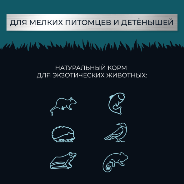 Yumster личинка черной львинки сушеная 10 мм - 30 г