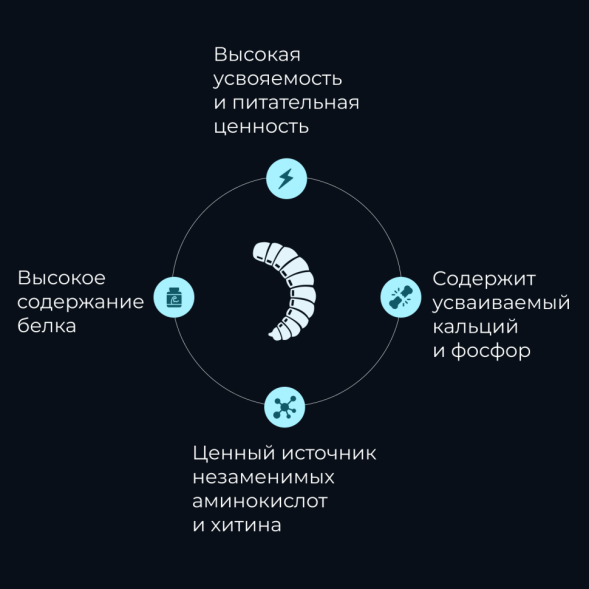Yumster личинка черной львинки сушеная 10 мм - 30 г