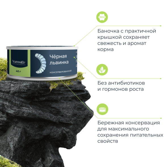 Yumster личинка черной львинки консервированная - 40 г