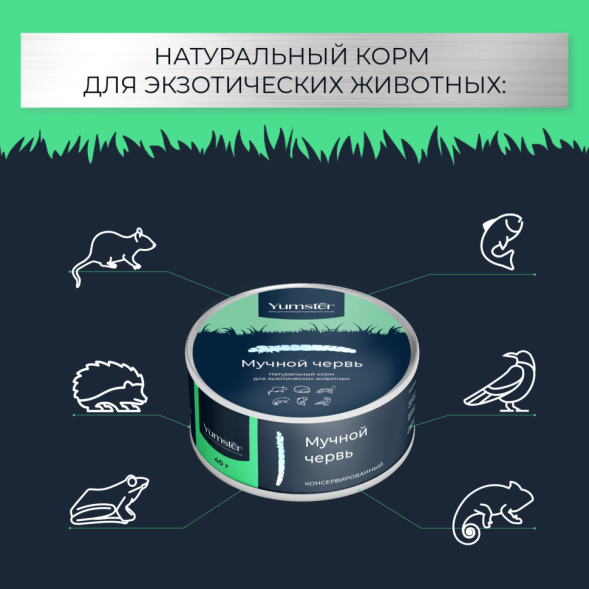Yumster мучной червь консервированный - 40 г