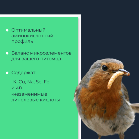 Yumster мучной червь консервированный - 40 г