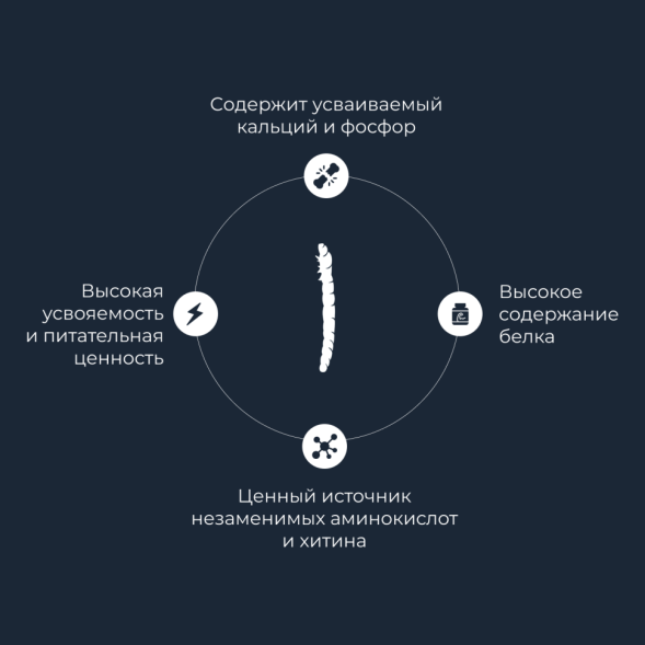 Yumster мучной червь консервированный - 40 г