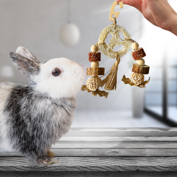 BONITAPET игрушка для мелких животных Амулет, 15x7,5 см