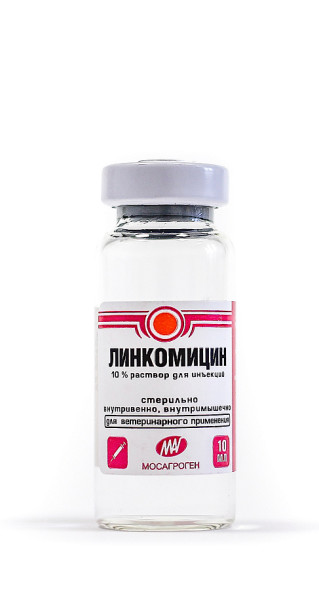 Линкомицин 10% раствор для инъекций - 10 мл