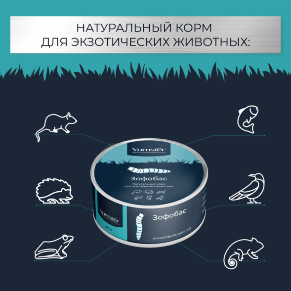 Yumster зофобас консервированный - 40 г