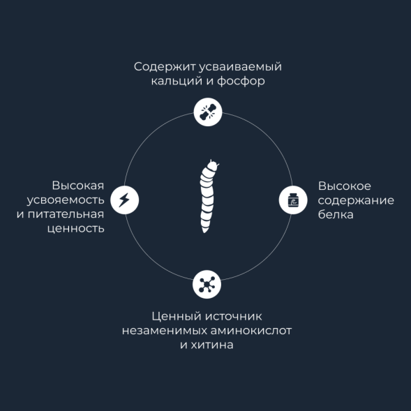 Yumster зофобас консервированный - 40 г