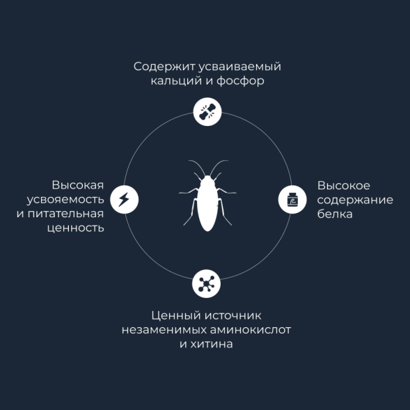 Yumster туркменский таракан консервированный - 40 г