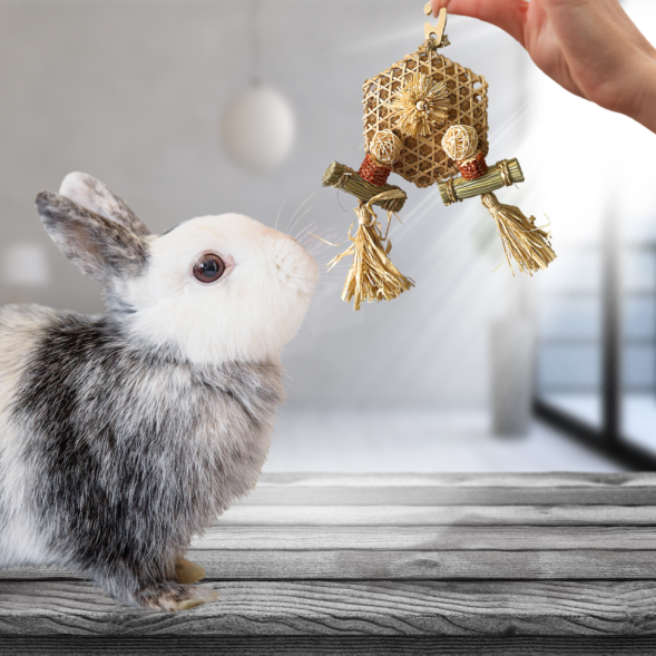 BONITAPET игрушка для мелких животных Соты, 19x12 см