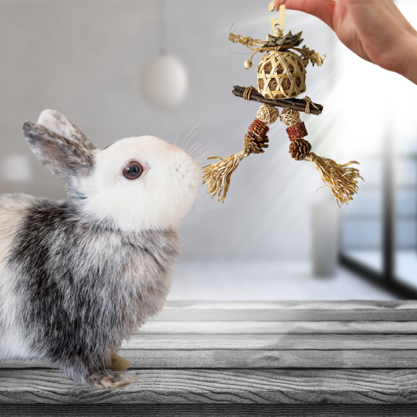 BONITAPET игрушка для мелких животных Тыковка, 19x12 см