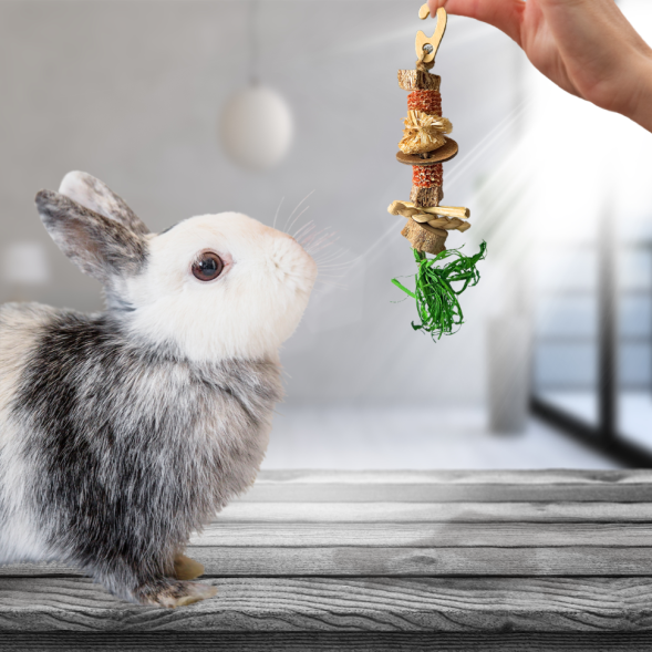 BONITAPET игрушка для мелких животных Кукуруза, 17x6 см