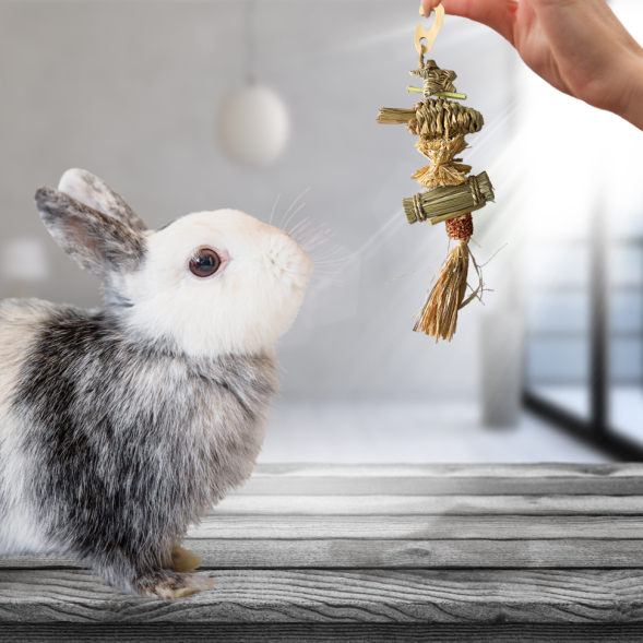 BONITAPET игрушка для мелких животных Пират, 19x8 см