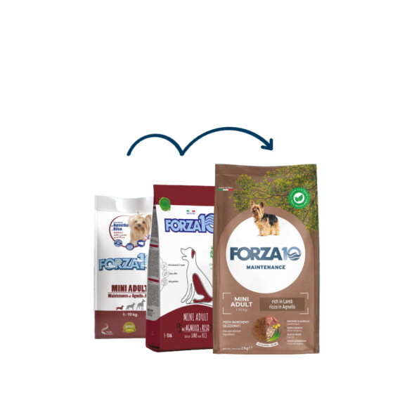 Forza10 Maintenance Small/Medium сухой корм для взрослых собак мелких пород из ягненка с рисом - 2 кг