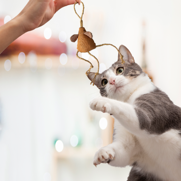 BONITAPET игрушка для кошек Мышка на веревочке, 61 см