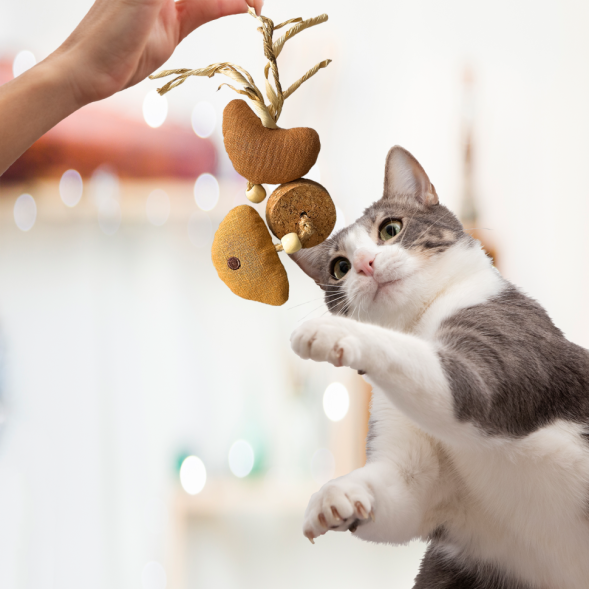 BONITAPET игрушка для кошек Рыба-пиранья, 23 см