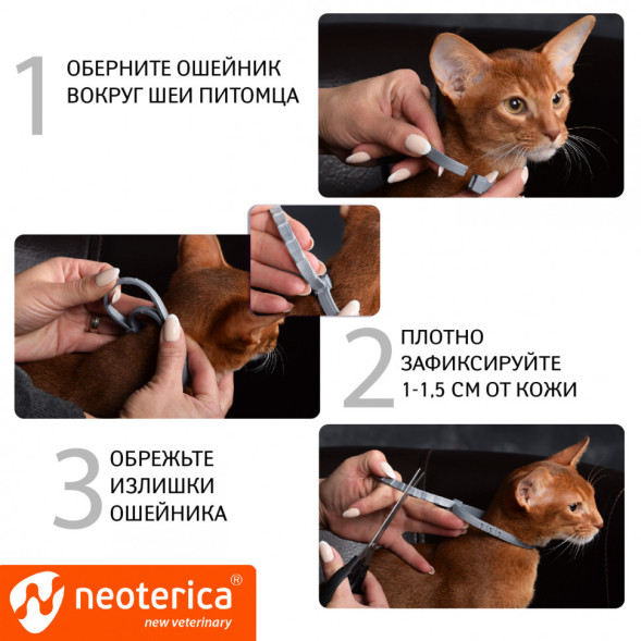 Rolf Club 3D Ошейник для кошек от клещей, блох, вшей, власоедов 40 см