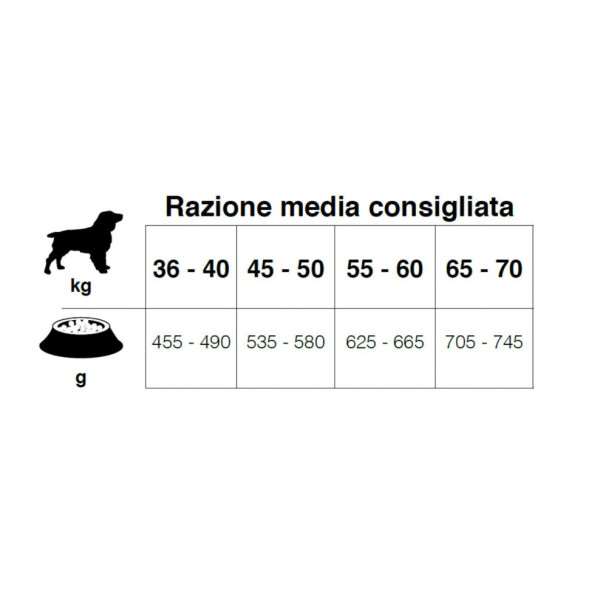 Forza10 MonoDiet Adult Maxi Pesce сухой корм для взрослых собак крупных пород c рыбой - 12 кг