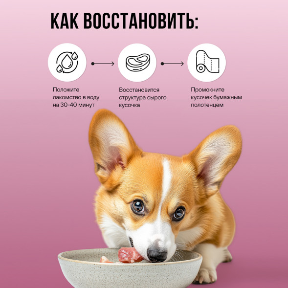 BOWL WOW лакомство сублимированное для взрослых собак и щенков всех пород, легкое говяжье - 100 г