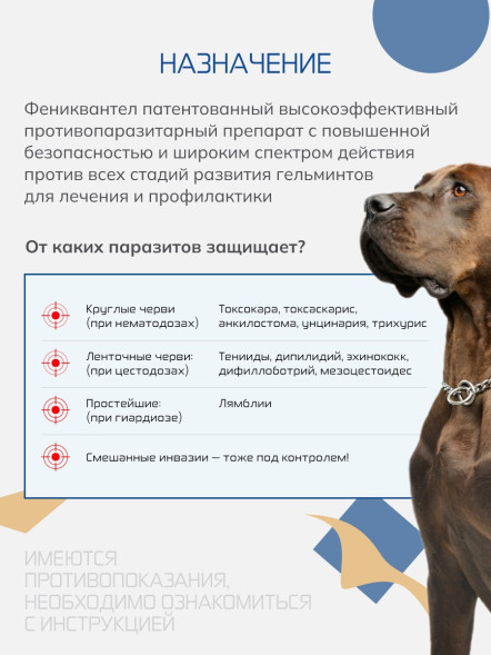 Фениквантел 100 мг антигельминтный препарат для собак - 5 таблеток