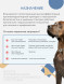 Фениквантел 100 мг антигельминтный препарат для собак - 5 таблеток