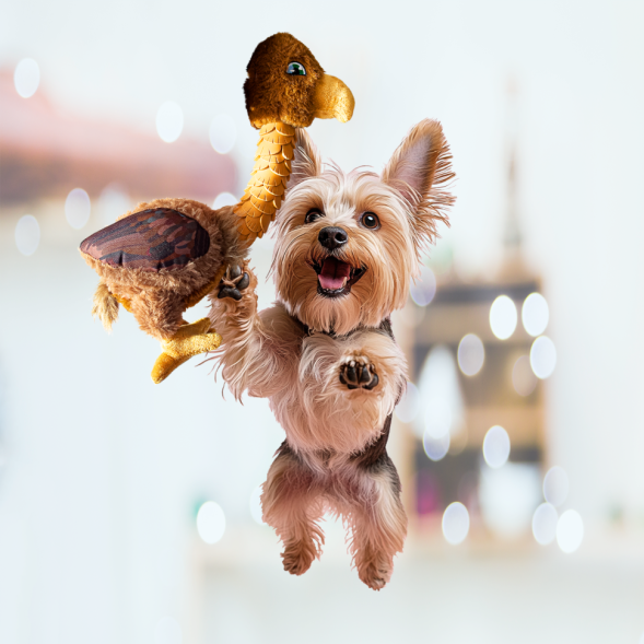 BONITAPET игрушка для собак Веселый тукан, 22х34,5 см